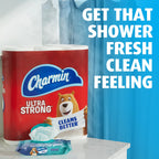 Charmin Flushable Wipes - Resealable, Portable

