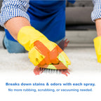 Spot Shot Instant Carpet Stain Remover Aerosol

