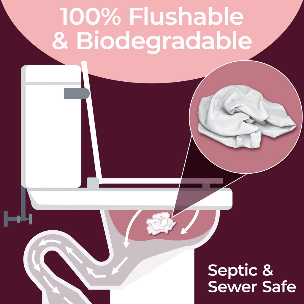 BOOTY WIPES Feminine Flushable Wipes with Aloe and Vitamin E

