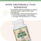 Dihydroberberine Supplement by Double Wood | Absorbs Better

