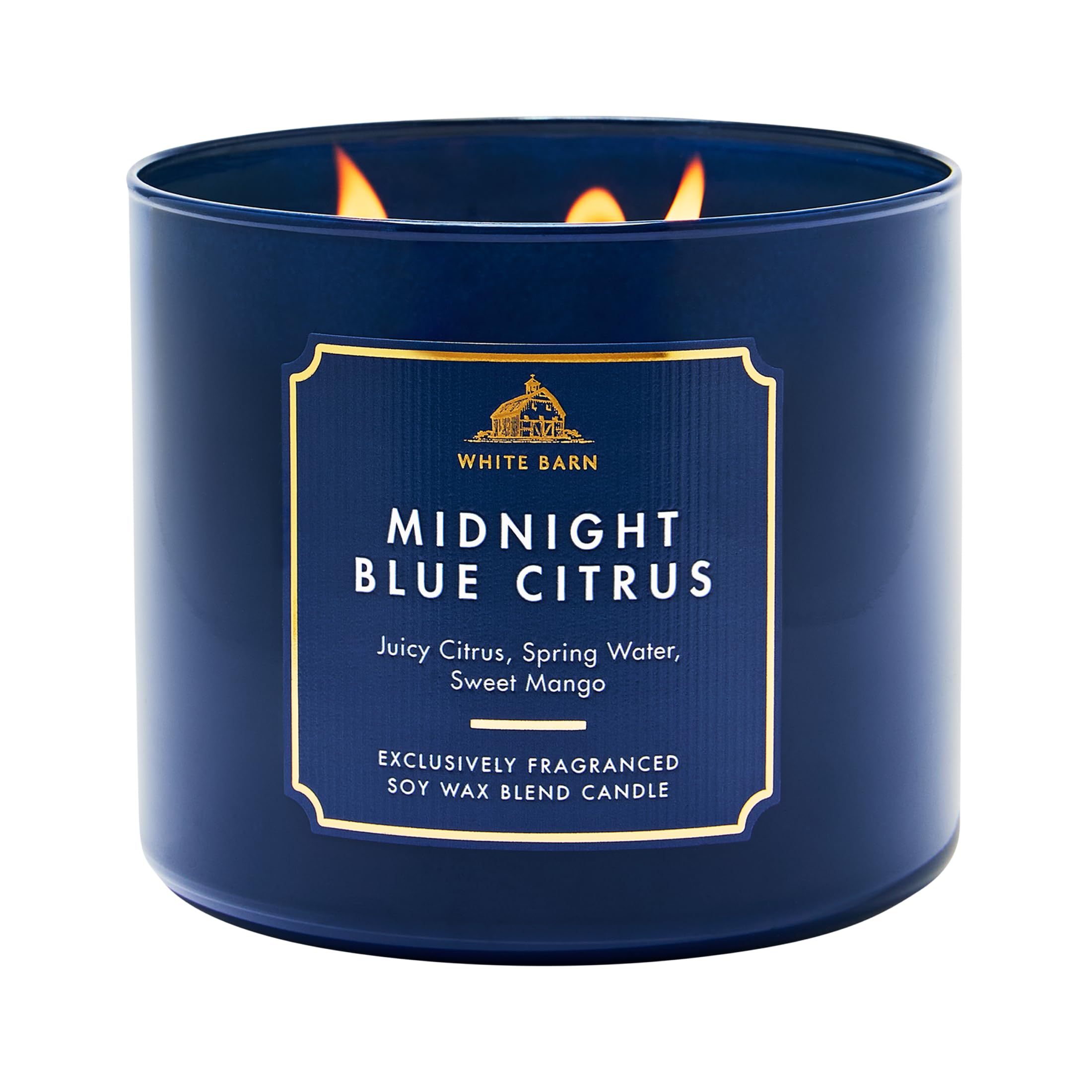 Bath & Body Works 3-Wick Candle Soy Wax Blend