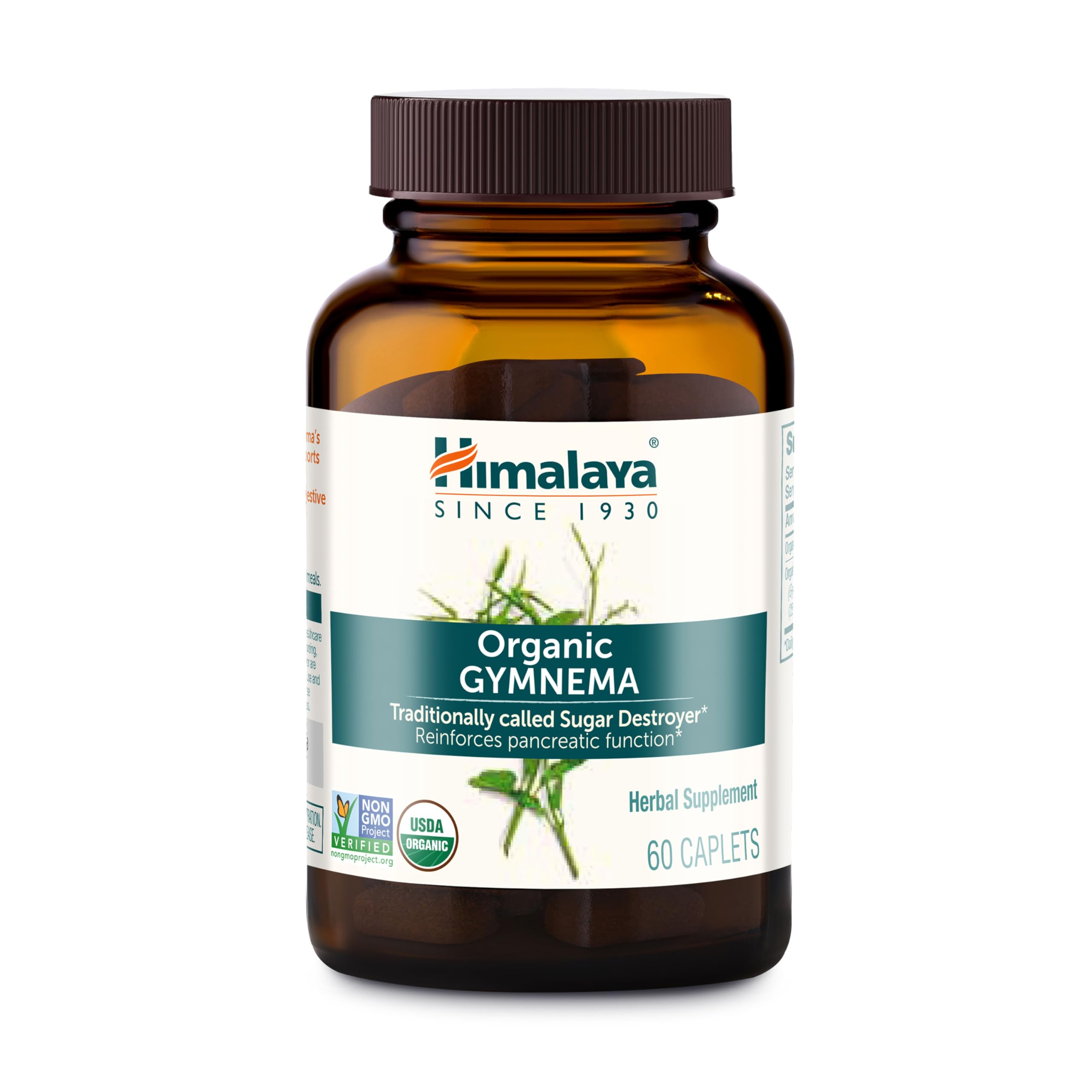 Himalaya Gymnema Sylvestre Extract 700mg Organic Ayurvedic Supplement