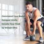 Shilajit Fulvic Acid Supplement by Flynew

