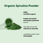 Micro Ingredients Spirulina Powder - Organic Vegan Protein

