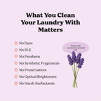 Pronounce Laundry Detergent Powder – Safer Ingredients

