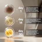 Nevora Labs Semen Volume Booster for Men

