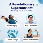 Tru Niagen NAD+ Supplement – Patented Niagen Formula

