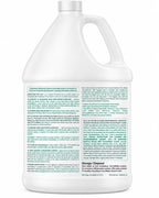 Benefect Botanical Decon 30 Disinfectant Cleaner

