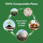 Compostable Sugarcane Paper Plates Heavy-Duty

