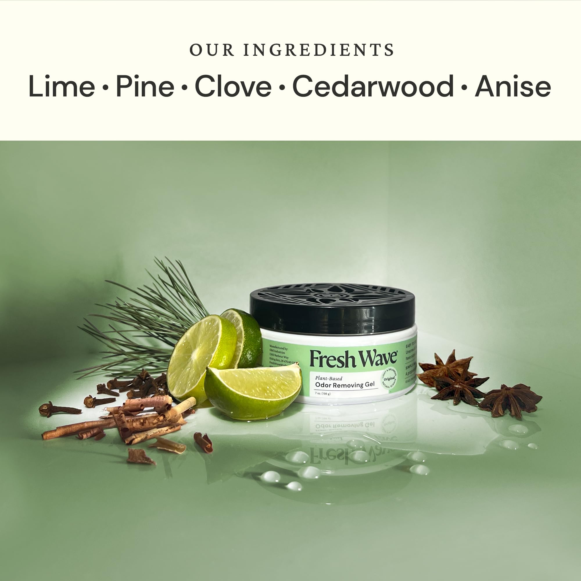 Fresh Wave Odor Removing Gel | Plant-Based Odor Eliminator

