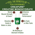 Creapure Creatine Monohydrate Powder | German Ultra-Pure

