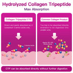 ZEBORA Multi Collagen Peptides Powder - Hydrolyzed


