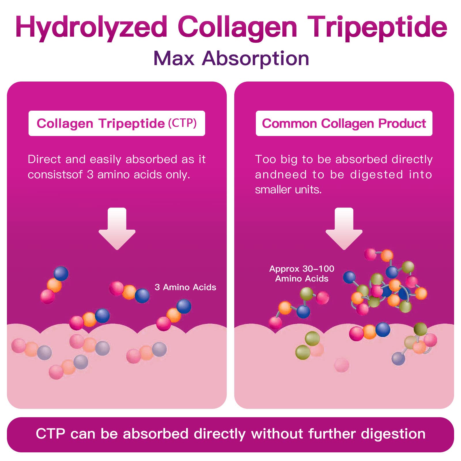 ZEBORA Multi Collagen Peptides Powder - Hydrolyzed

