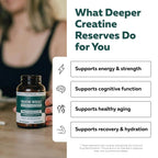 Creatine Supplement for Energy & Focus

