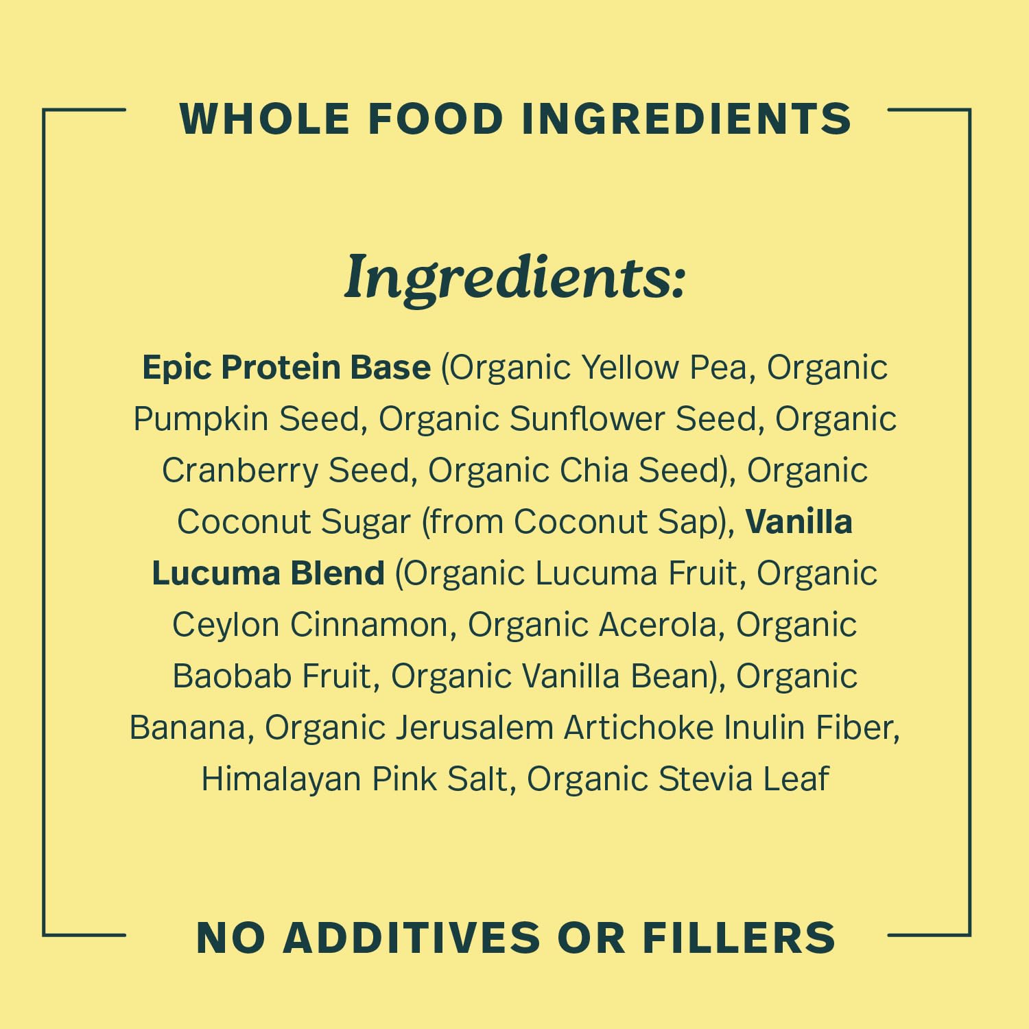 Sprout Living Epic Protein Plant Based Protein Powder

