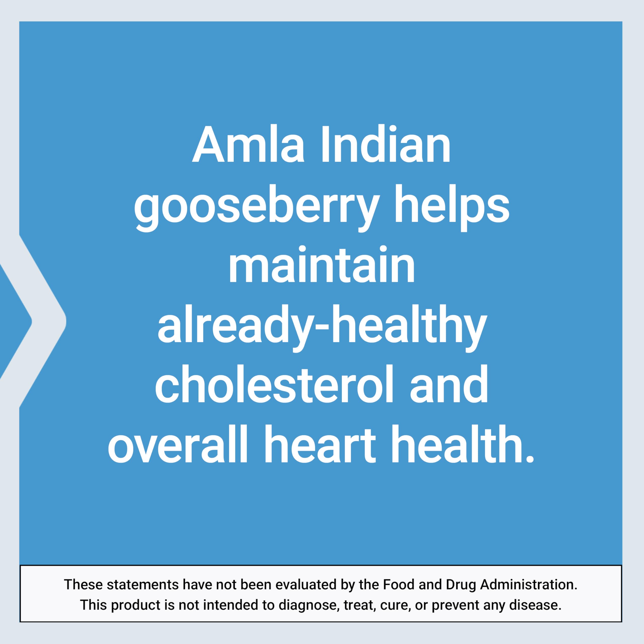 Life Extension Advanced Lipid Control Amla Extract

