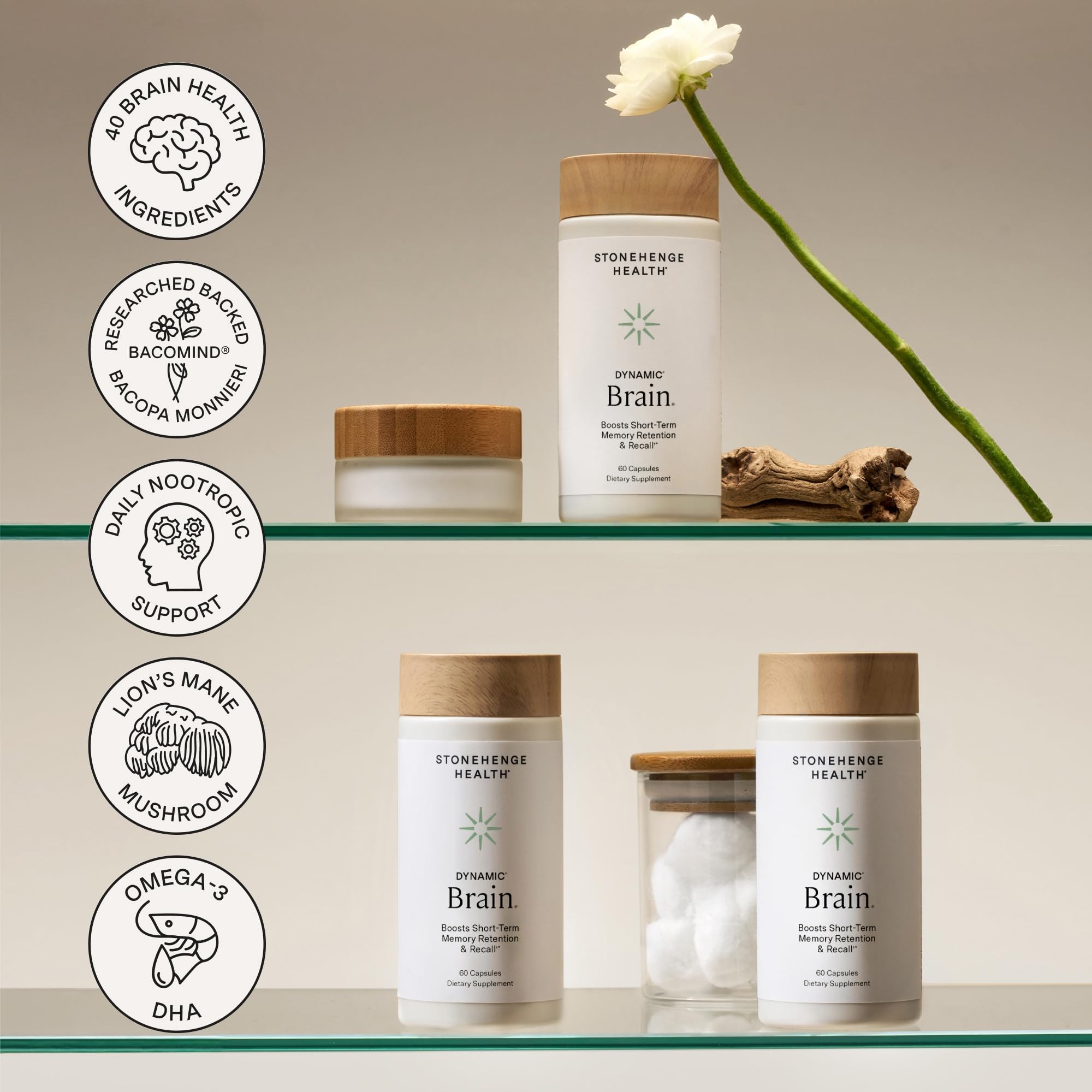 Stonehenge Health Dynamic Brain Nootropic with BacoMind

