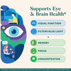 Neuriva Brain + Eye Supplements | Memory & Focus

