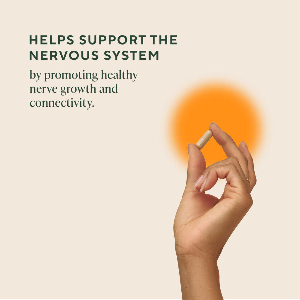 Om Lion’s Mane Mushroom Capsules for Brain Support

