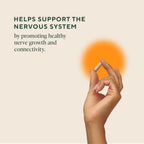 Om Lion’s Mane Mushroom Capsules for Brain Support

