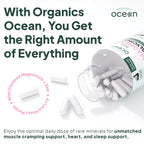 Organics Ocean Magnesium Glycinate with Zinc | Sleep Support

