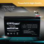 ExpertPower EXP1290 AGM Rechargeable Battery

