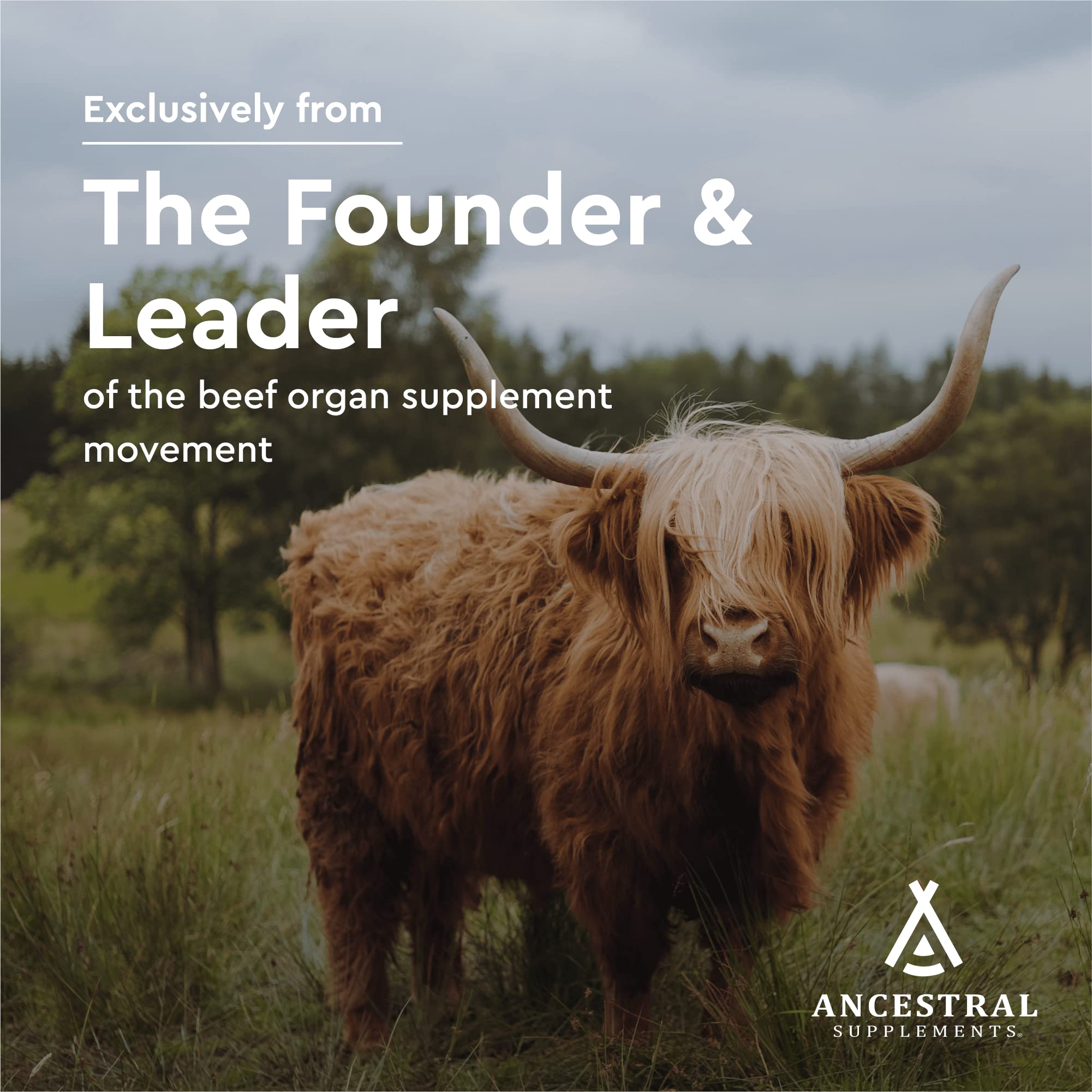 Ancestral Supplements Living Bone Capsules | Grass-Fed Beef

