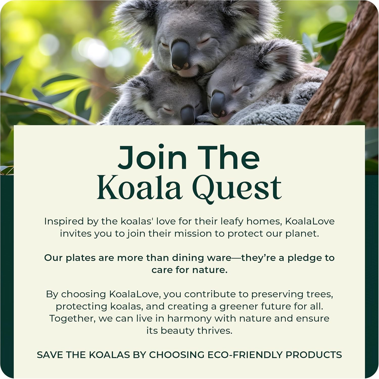 Palm Leaf Plates KoalaLove Square Eco-Friendly Disposable Tableware

