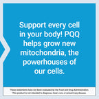 Life Extension PQQ 20 mg Supplement for Mitochondria

