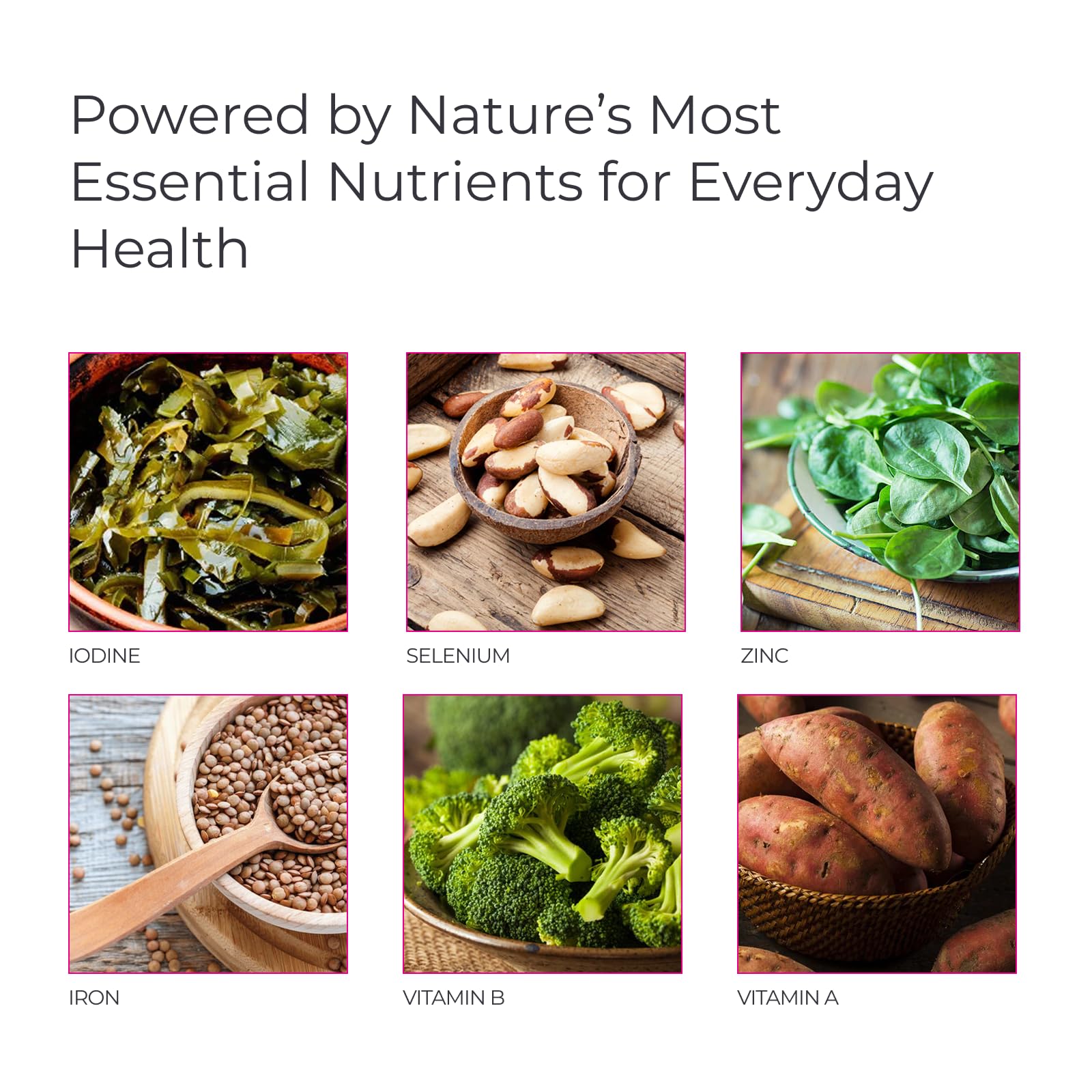 Livingood Daily Methylated Multivitamin for Adults | Energy

