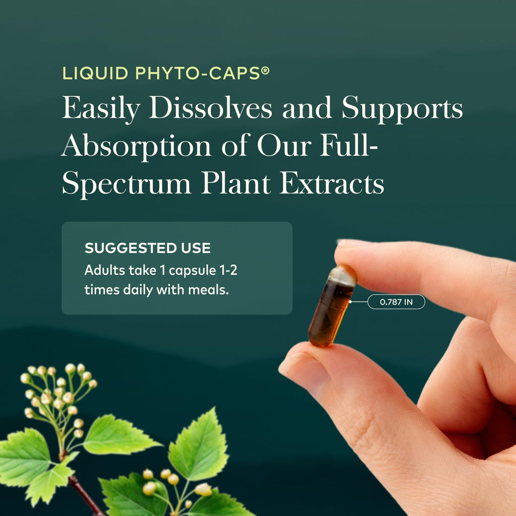 Gaia Herbs Turmeric Supreme Curcumin with Black Pepper

