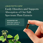 Gaia Herbs Turmeric Supreme Curcumin with Black Pepper

