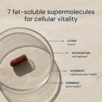 Antioxidant Supplement Blueprint Bryan Johnson for Vision


