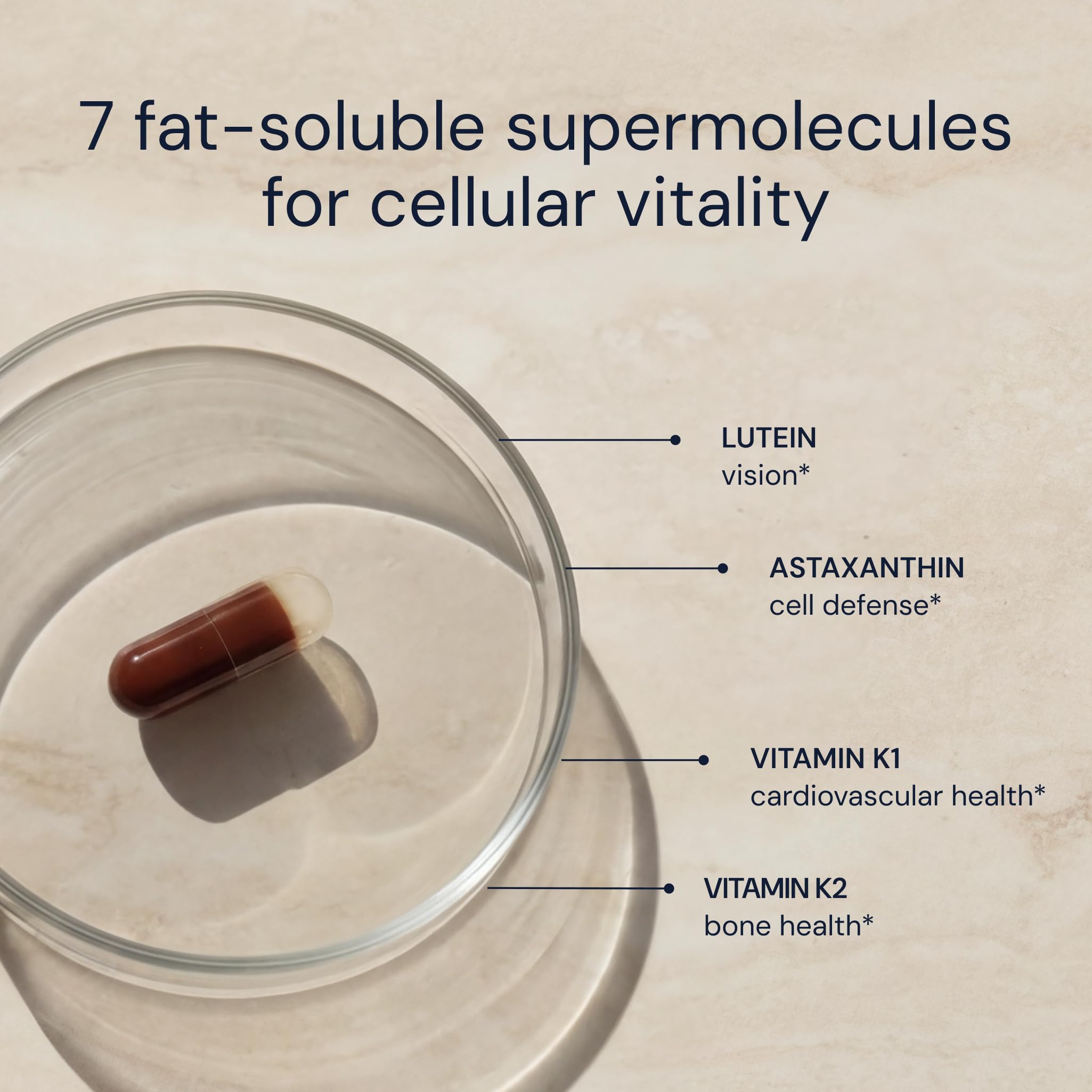 Antioxidant Supplement Blueprint Bryan Johnson for Vision

