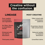 Lineage Provisions Creatine Monohydrate Micronized Sea Salt

