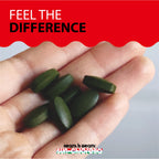 Sun Chlorella Greens Algae Superfood for Immune & Gut Health

