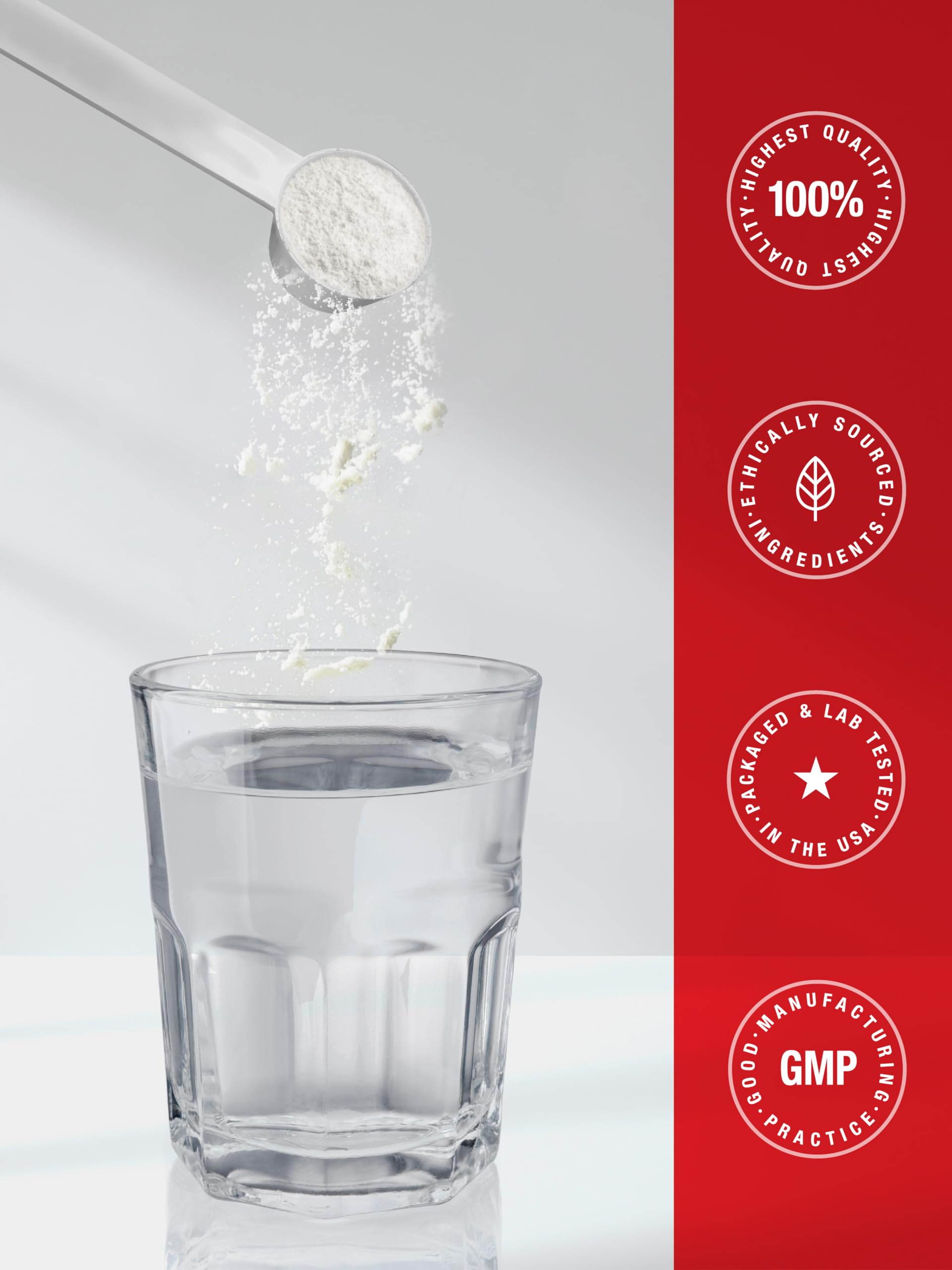 Horbäach Creatine Monohydrate Powder | Micronized Unflavored

