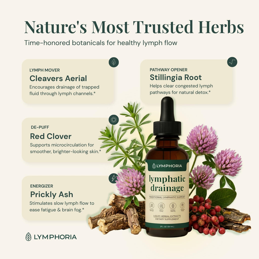 Lymphoria Lymphatic Drops for Bloat Relief Alcohol-Free

