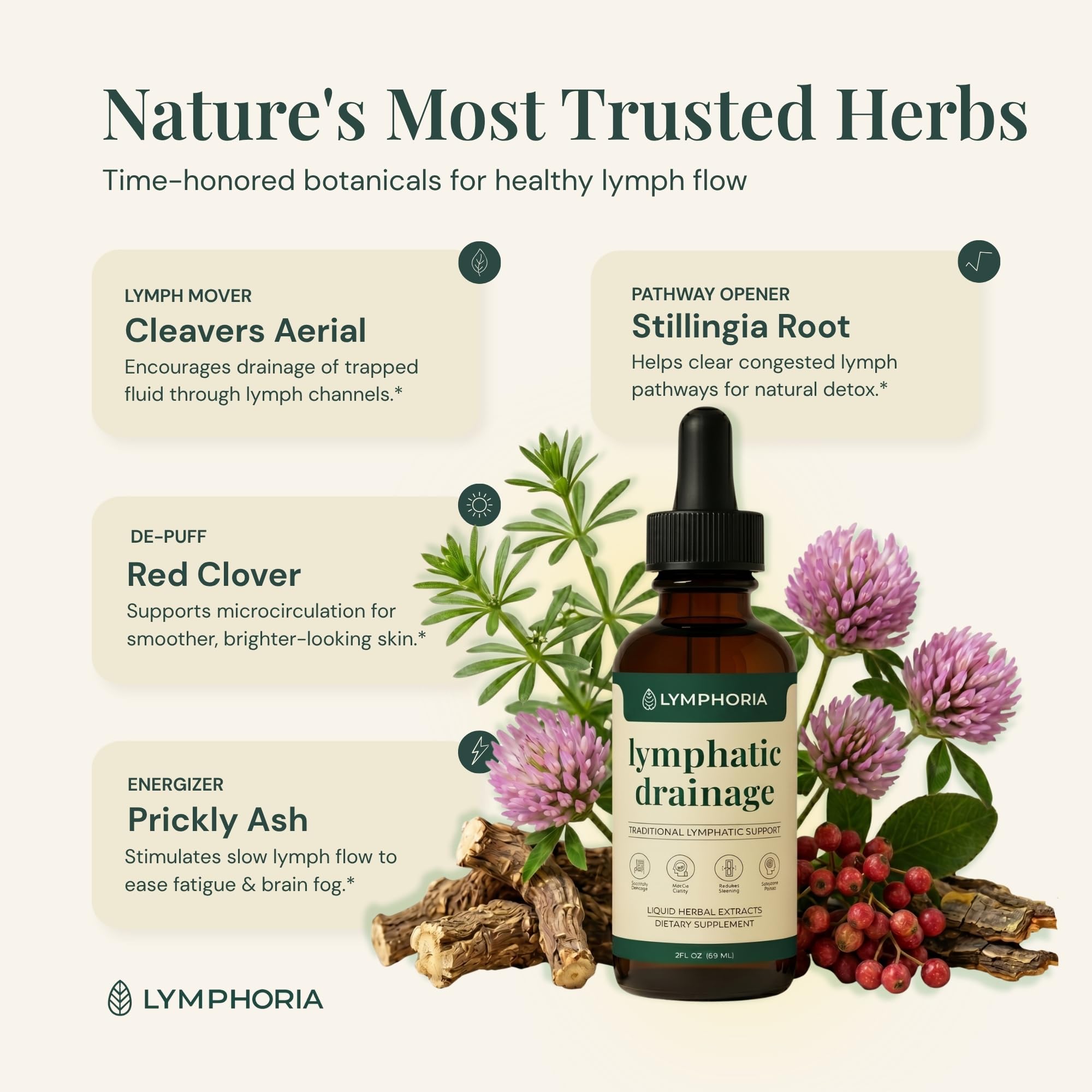 Lymphoria Lymphatic Drops for Bloat Relief Alcohol-Free

