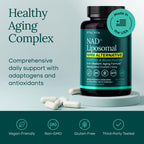 Liposomal Energy Support Supplement | Daily Vitality


