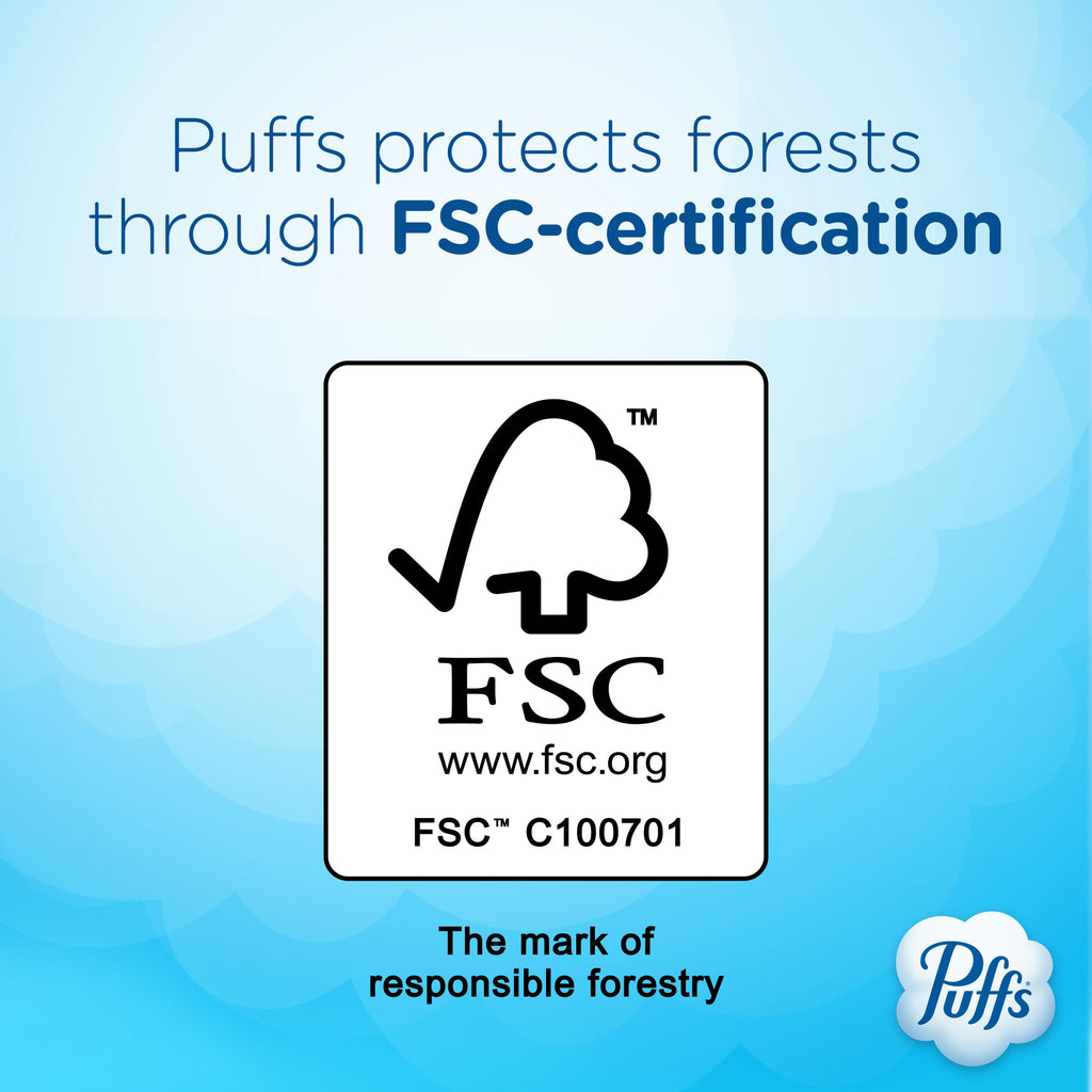 Puffs Ultra Soft Facial Tissues – Gentle Nose Comfort

