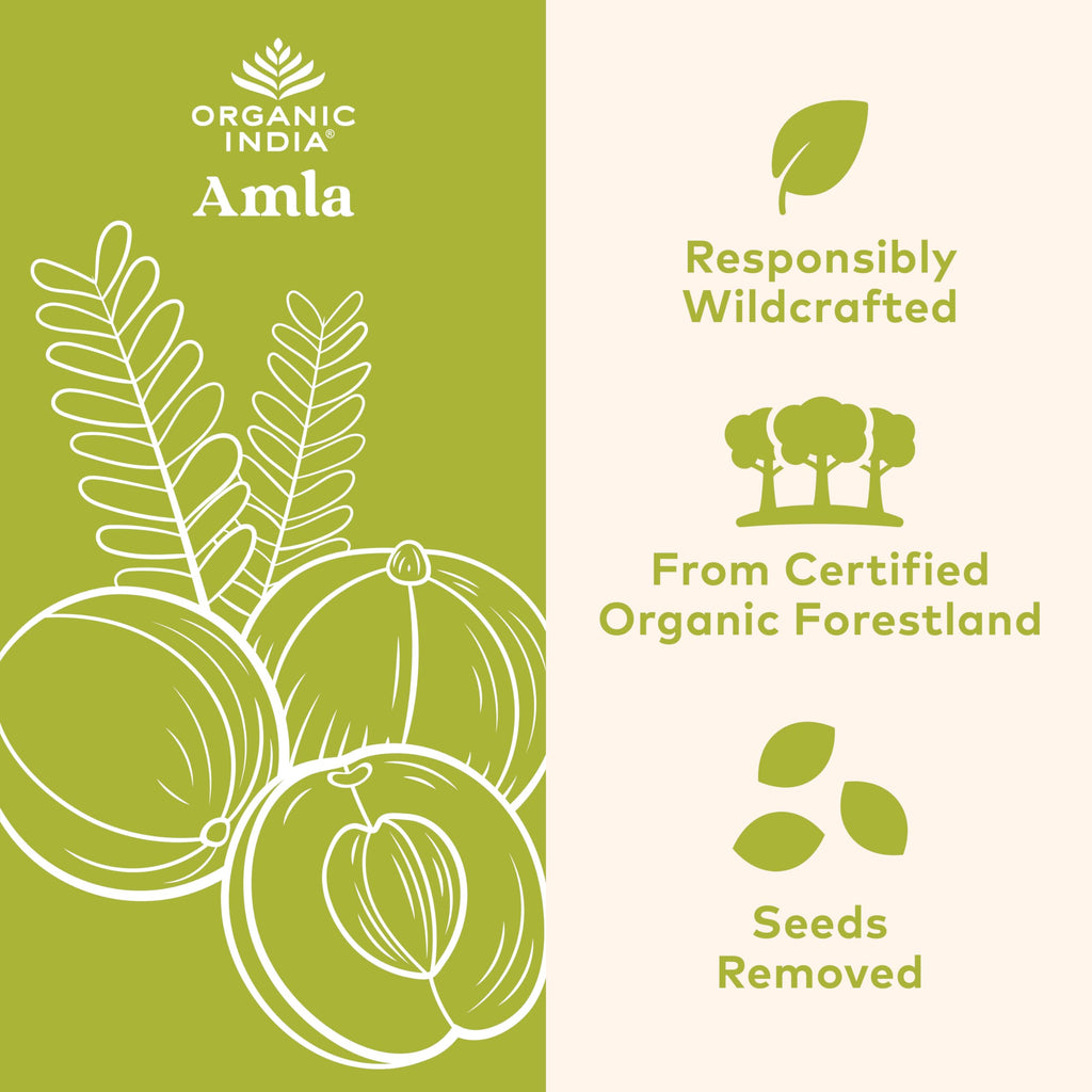 Organic India Amalaki Immune Support Herbal Supplement

