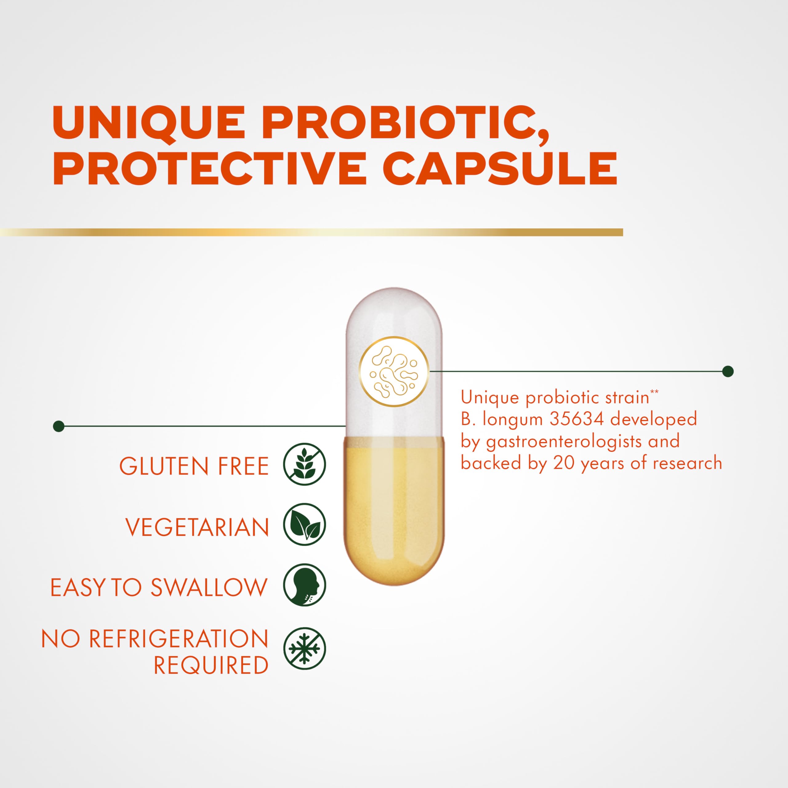 Align Pro Formula Probiotic for Digestive Health

