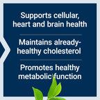 Life Extension Decaffeinated Green Tea Extract

