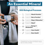 Organic Whole Food Magnesium - Sea Vegetable Complex

