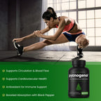 Pycnogenol Pine Bark Extract by NutraChamps for Circulation

