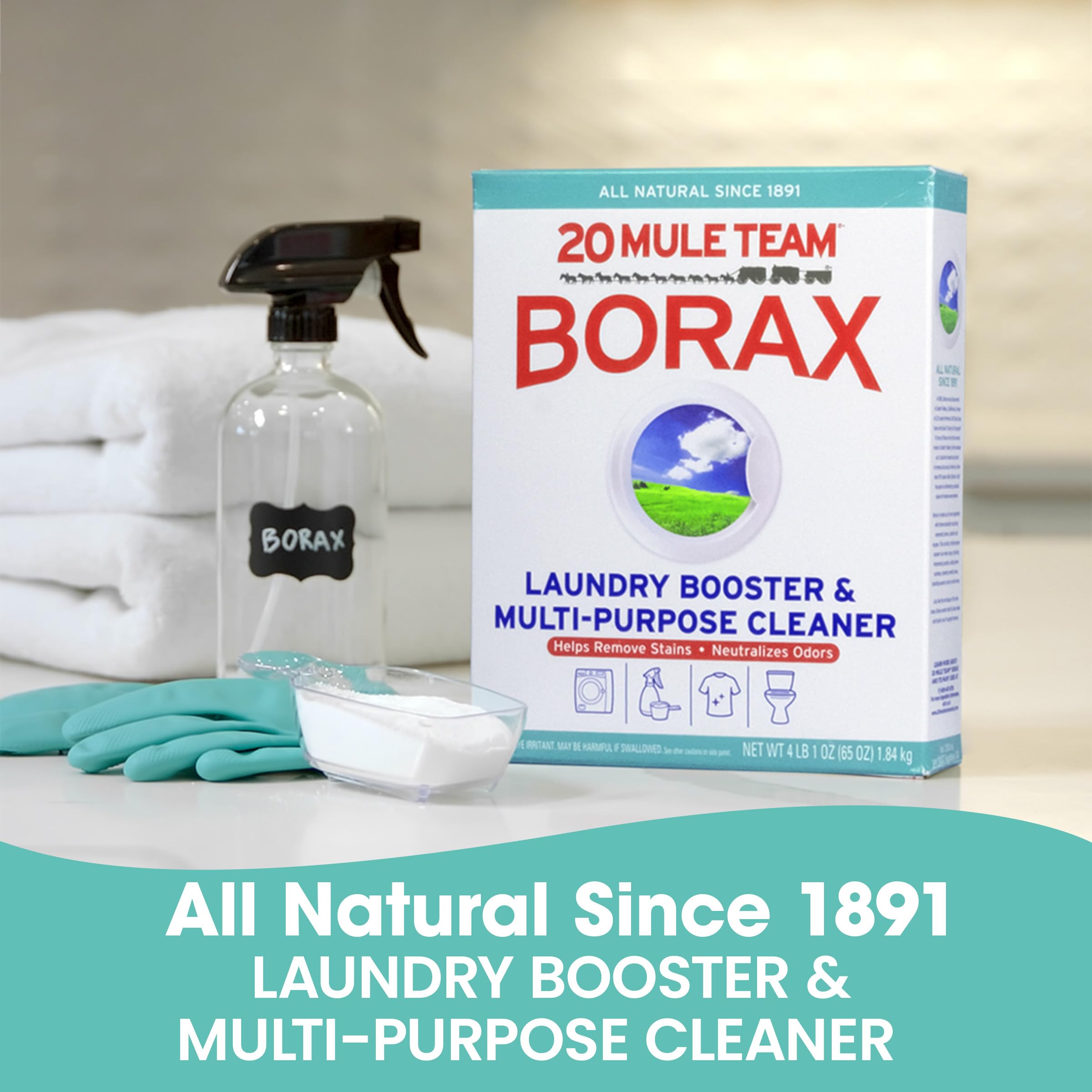 20 Mule Team Borax Powder – All Natural Laundry Booster

