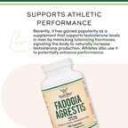 Double Wood Fadogia Agrestis Plant-Based Extract Supplement

