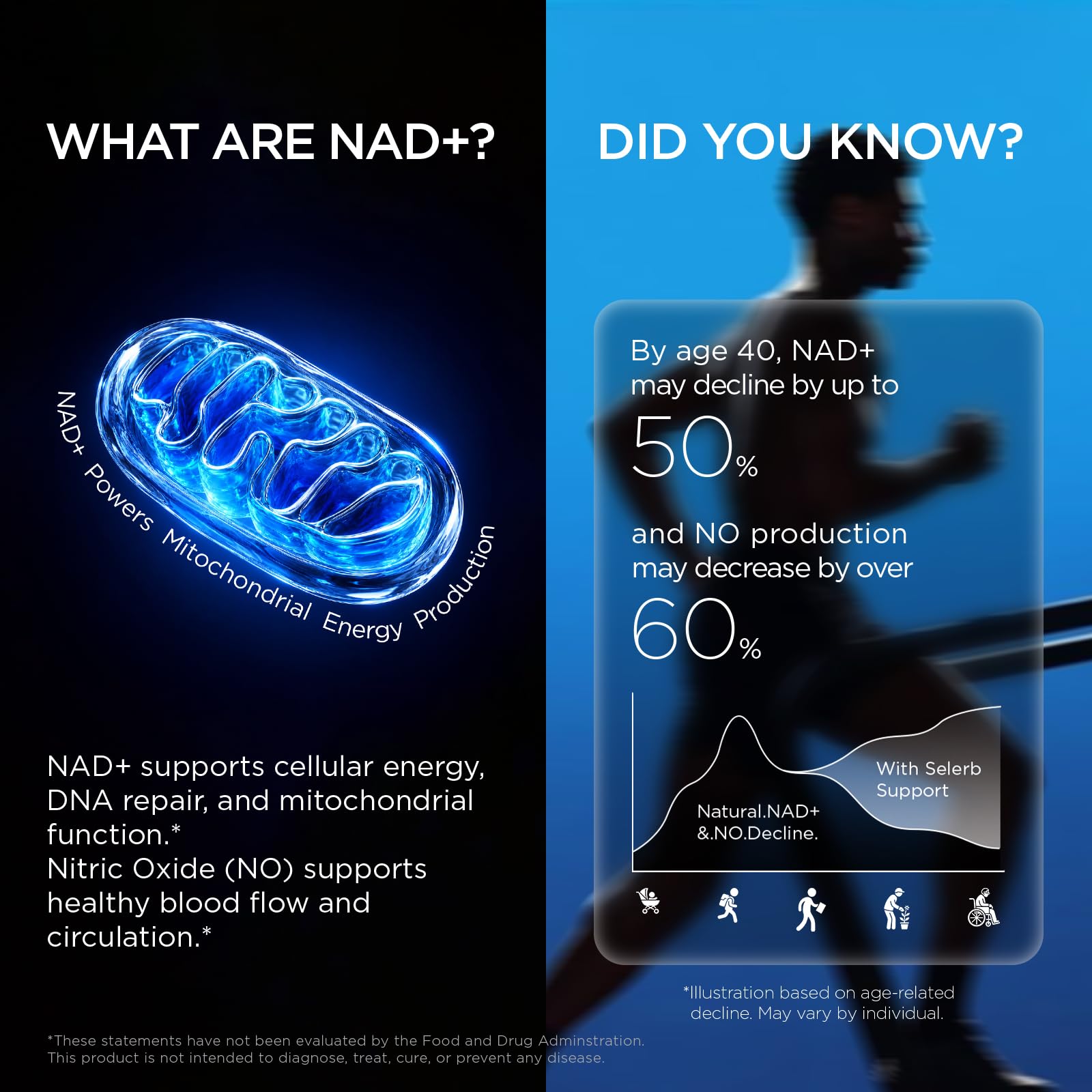 Selerb NAD+ Liposomal Supplement for Energy & Prostate Health

