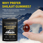 Shilajit Gummies with Ashwagandha & Gokshura - Organic Vegan

